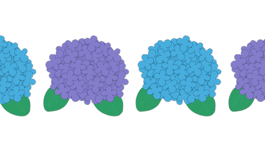 紫陽花の罫線（ライン）のイラスト