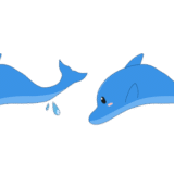 イルカの罫線（ライン）のイラスト
