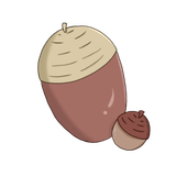 どんぐりのイラストです。