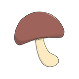 きのこのイラストです。